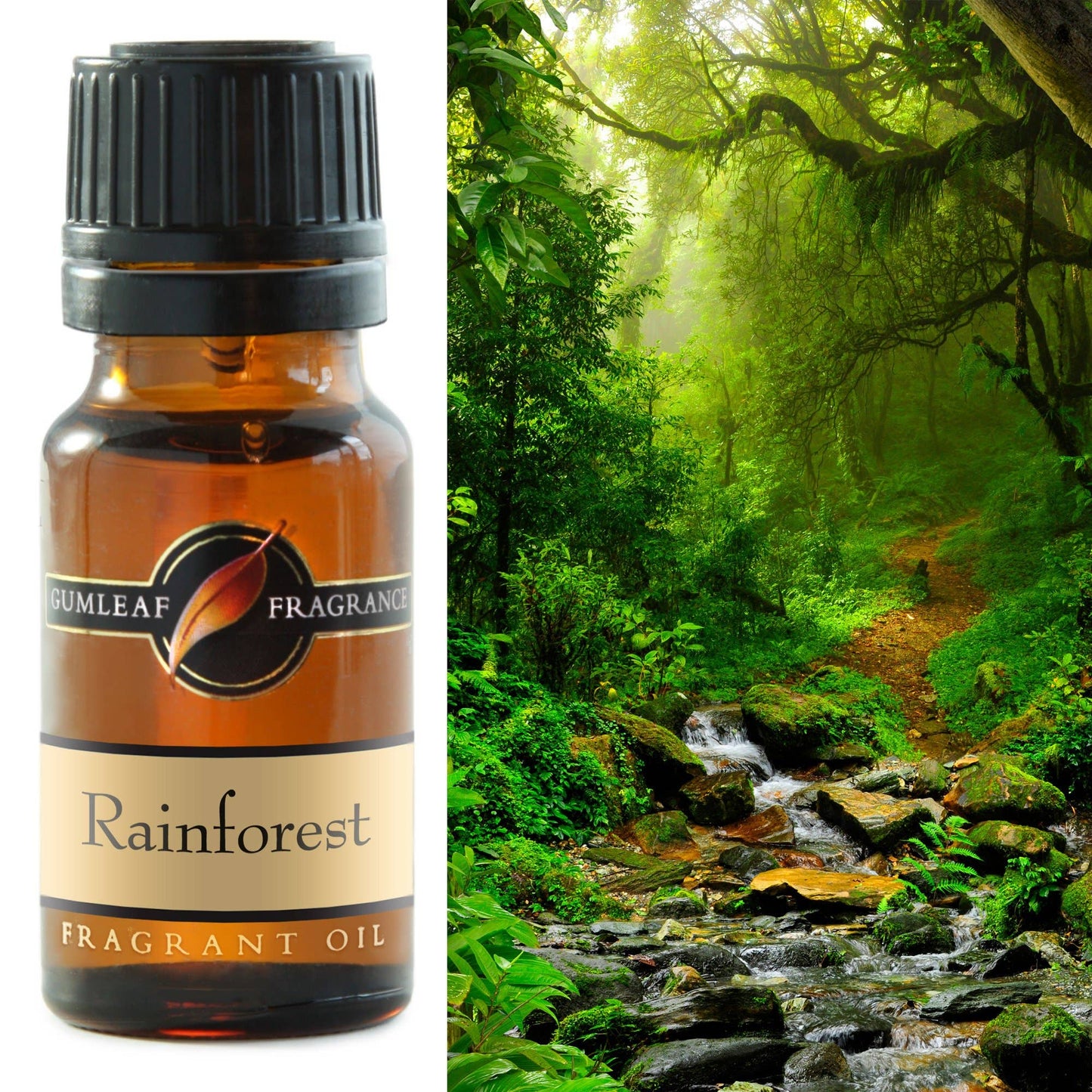 Rainforest Fragrance Oil 10ml