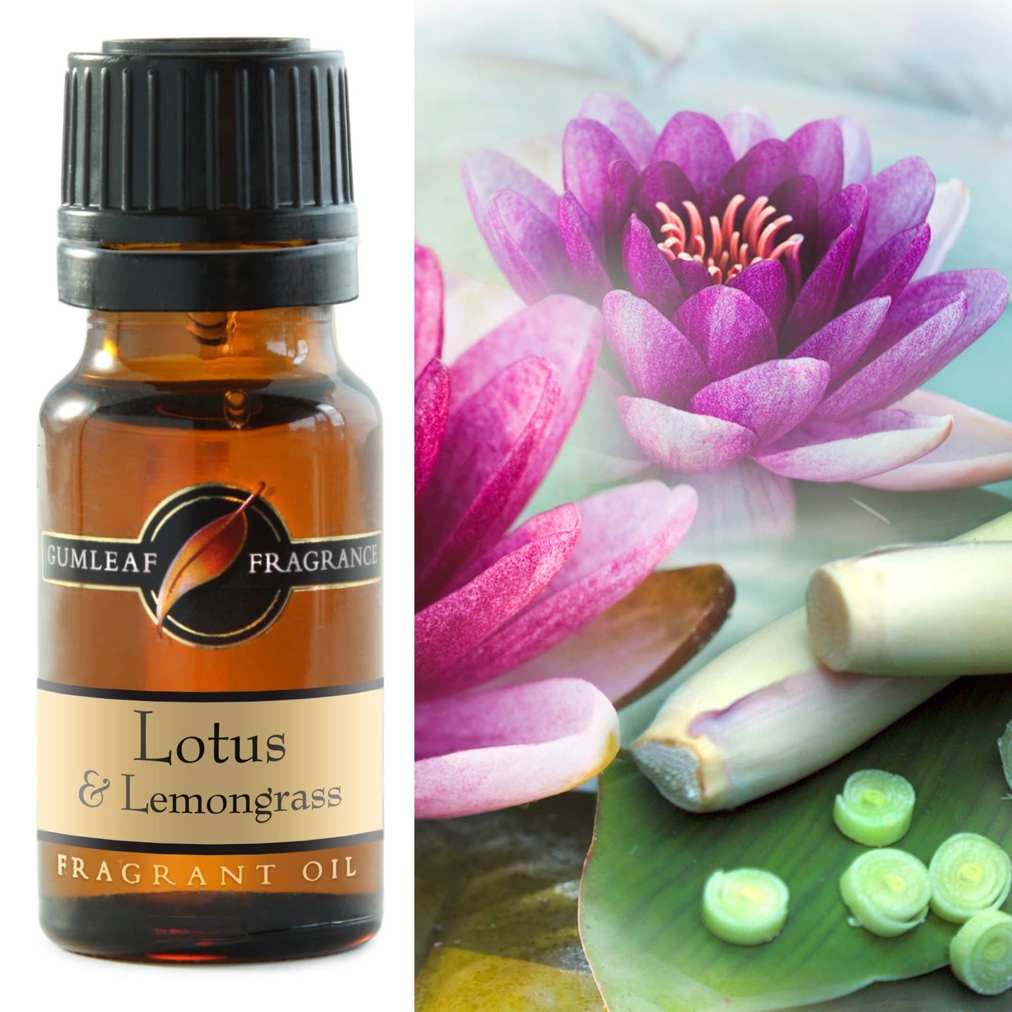 Lotus & Lemongrass Fragrance Oil 10ml