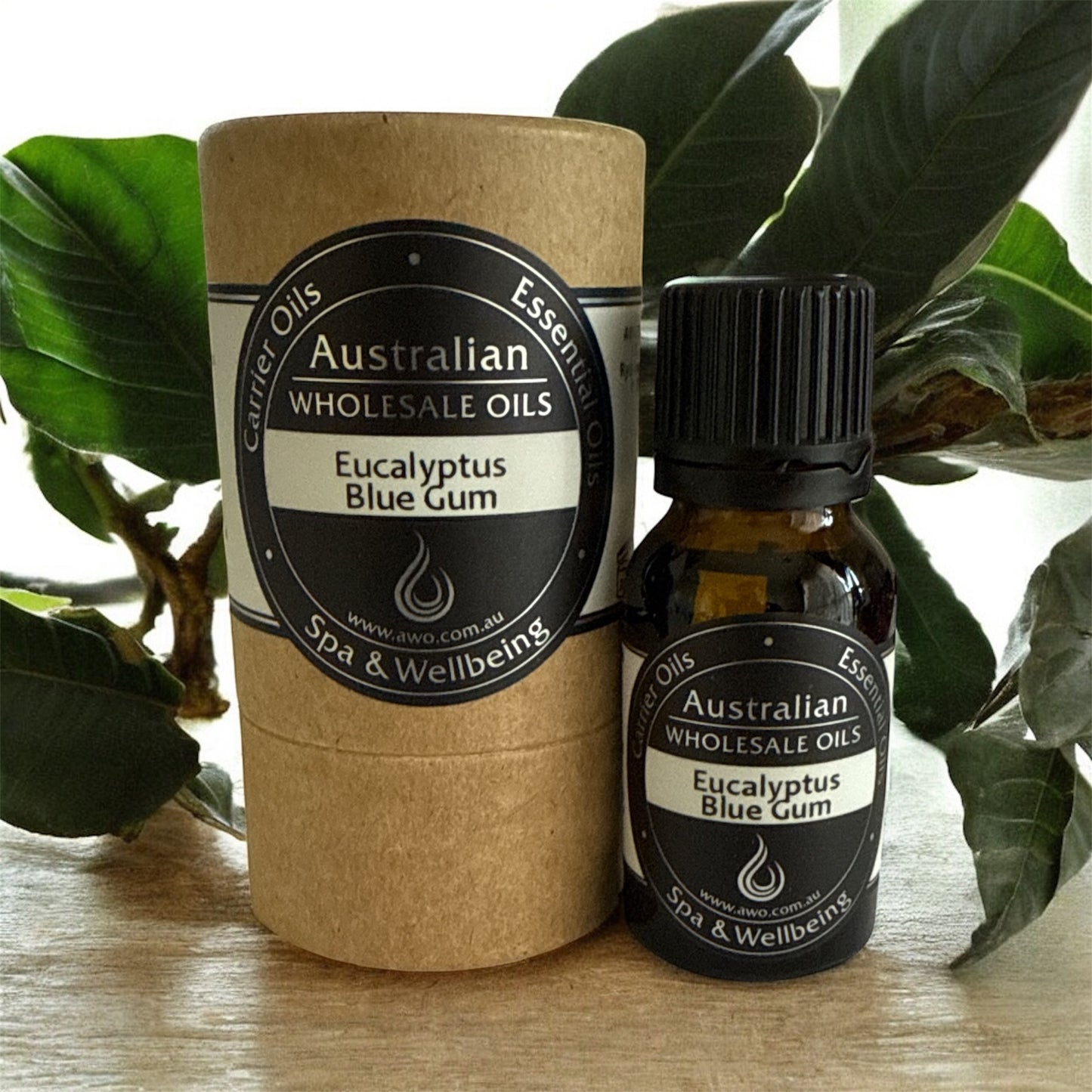 Eucalyptus Blue Gum Essential Oil - Eucalyptus globulus 15ml