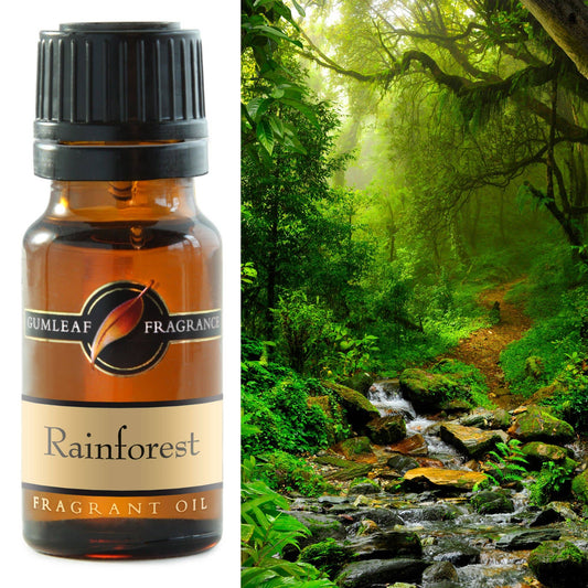 Rainforest Fragrance Oil 10ml