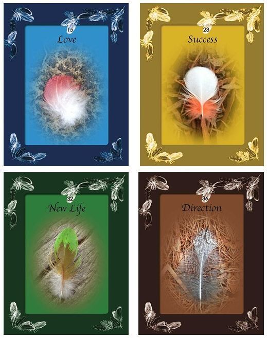 Feather Magic Oracle Cards