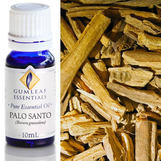 Palo Santo Essential Oil - Bursera graveolens 10ml