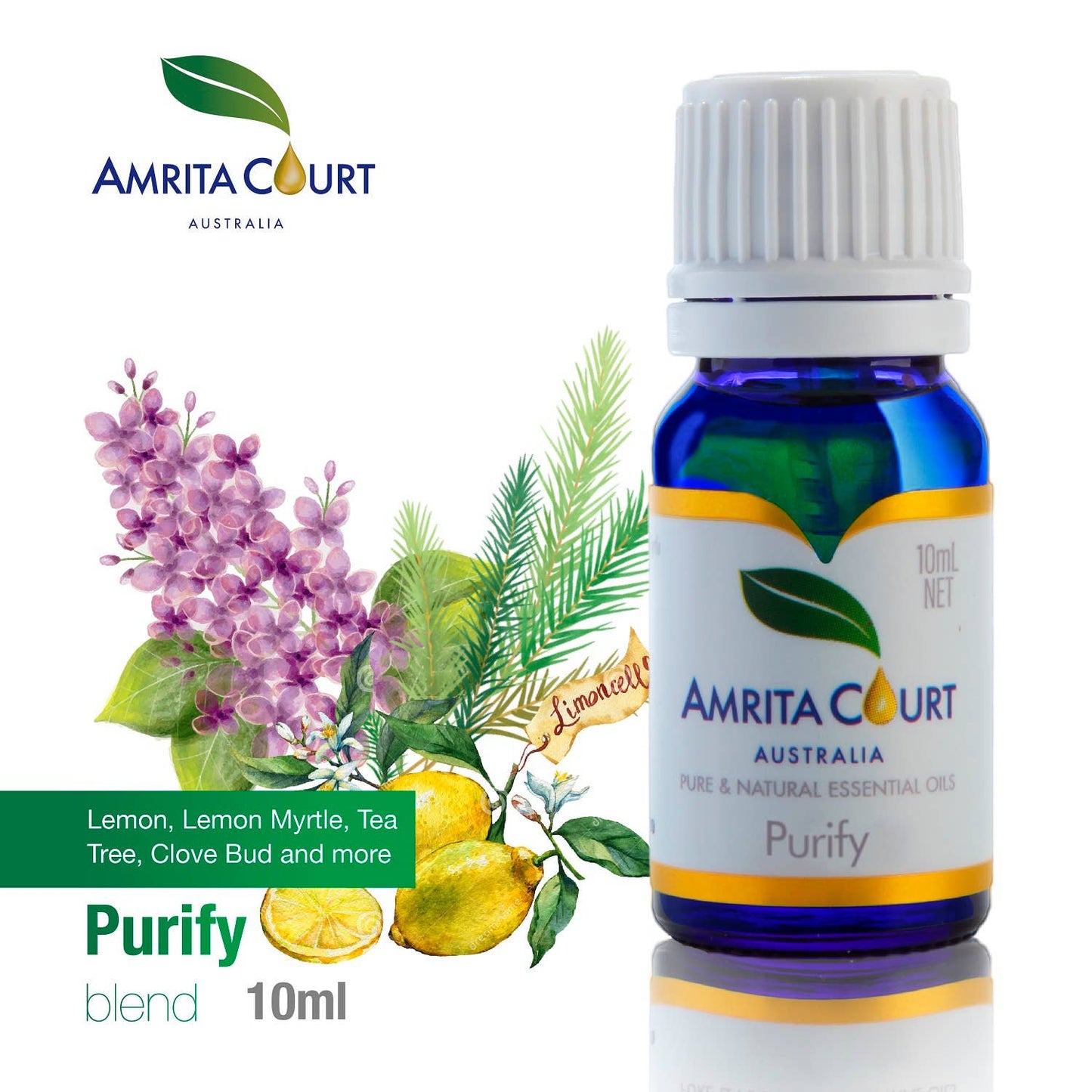 Planet Aroma Necklace + Purify Oil Blend