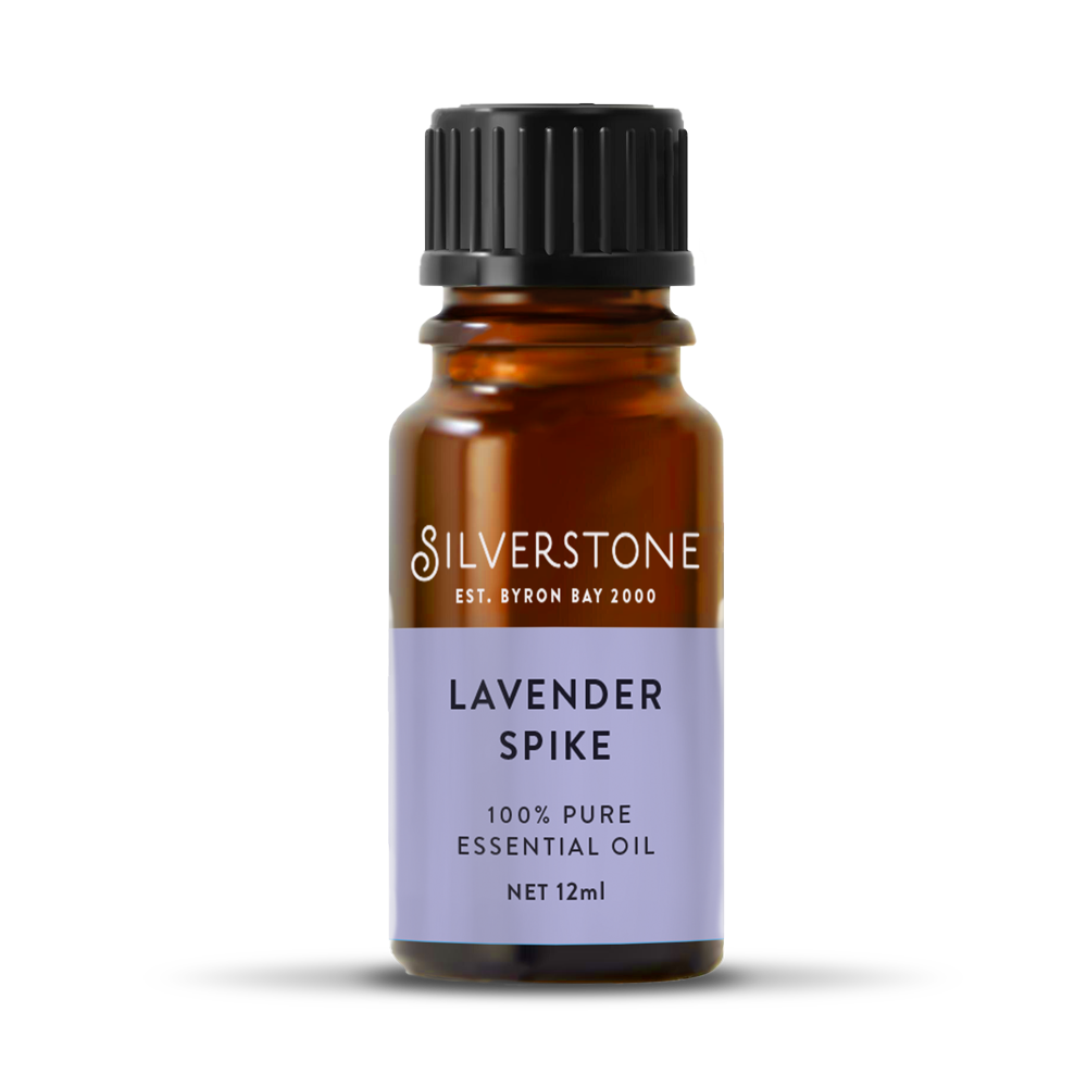 Lavender Spike Essential Oil - Lavendula Spica 12ml