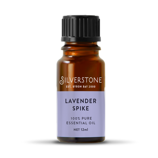 Lavender Spike Essential Oil - Lavendula Spica 12ml